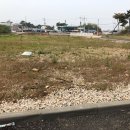 궁평펜션 이미지