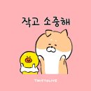 스마일동물병원 이미지