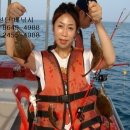 죽도항(양양죽도오토캠핑장) 이미지