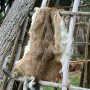 신호농장 이미지