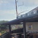 동몽원 | 마이산 근처 진안군 가볼만한 곳 건강한 한식 맛집 동몽원 정식