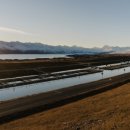 연어가게 이미지