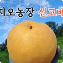 지오농장 이미지