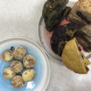 달달한숲상점