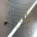 전주 반려동물장례식장 아리움 이미지