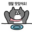 정준오리 이미지