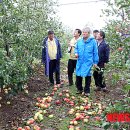 재민농장 이미지