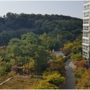 광교갤럭시공인중개사사무소 이미지