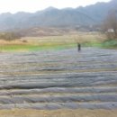 살미농장 이미지