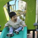 38호공원 Daum카페