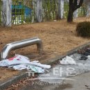 문막읍사무소 이미지