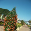 범어리 워터파크 이미지