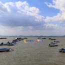 바다정원 이미지