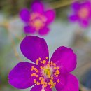 사진마당 이미지