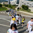 국가대표 태비태권도 이미지