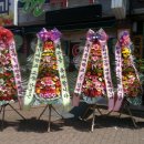 경희대유도관 이미지