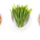 온누리소화약국 이미지