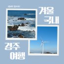이동시장(이동공설시장) | 경주 겨울 여행 | 감포 해국길 감포공설시장 감포항 송대말등대 빛체험전시관 경주 풍력발전소(바람의...