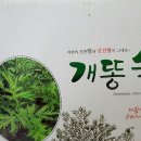 향산건강원