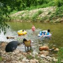 알프스캠핑장 이미지