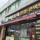 레몬트리안경원 | 울산안경점 추천｜꼼꼼한 옥동안경점 레몬트리 안경원 방문 후기