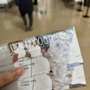 국립중앙박물관 특별전시 &#39;비엔나 1900, 꿈꾸는 예술가들&#39; 클림트는 없었고 에곤 실레만 있었던 전시 후기