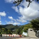 평원농장 | [사슴농장~간월재 휴게소] ⛰️신불산 억새평원 가을 등산후기!(with 신불산 근처 김밥🍙 맛집 추천)