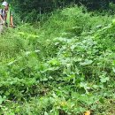 동명산소 이미지