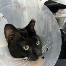 화양치과의원 이미지