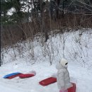 클럽아이리스 이미지