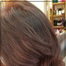 송미용실 이미지