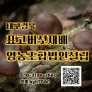 나눔유통영농조합법인 | 대구·경북 표고버섯 재배·가공, 왜 영농조합법인으로 시작해야 할까요?