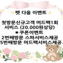 뽀독 애견 미용 이미지