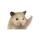 WR(대구광역시 중구)-50[국채보상로]-하-22 | 영원은 그렇듯 거짓이겠죠