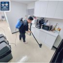 서초역일대 | [서초구 사무실청소] 서초동·서초역·남부터미널역 기업들이 신뢰하는 관리