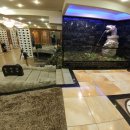 대자연게임장 이미지