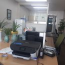 둥지세신 이미지