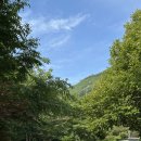 그로브1민박 | 월계수오토캠핑장 월계수산장 민박 후기