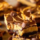 브라우니 이미지