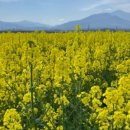 광정초등학교 이미지