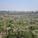 동민목장 이미지