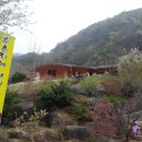 수촌리에내리는눈