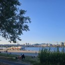 춘이농장 이미지