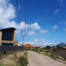 병아리펜션 이미지