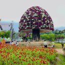 함평나비주유소 | 아이와 같이 가볼만한 봄축제 함평나비대축제