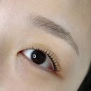 초망래쉬 | [내돈내산] '초망래쉬' 속눈썹펌 후기