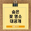 슬도주차장화장실 | 울산 슬도 샤스타데이지 명소, 바다전망 해안길 걷기·개화시기·포토존 완전정복