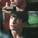 펫다이어리 이미지