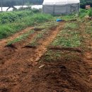 선유농장 이미지