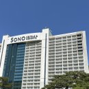 비발디파크 소노벨 B 패밀리 클린 후기